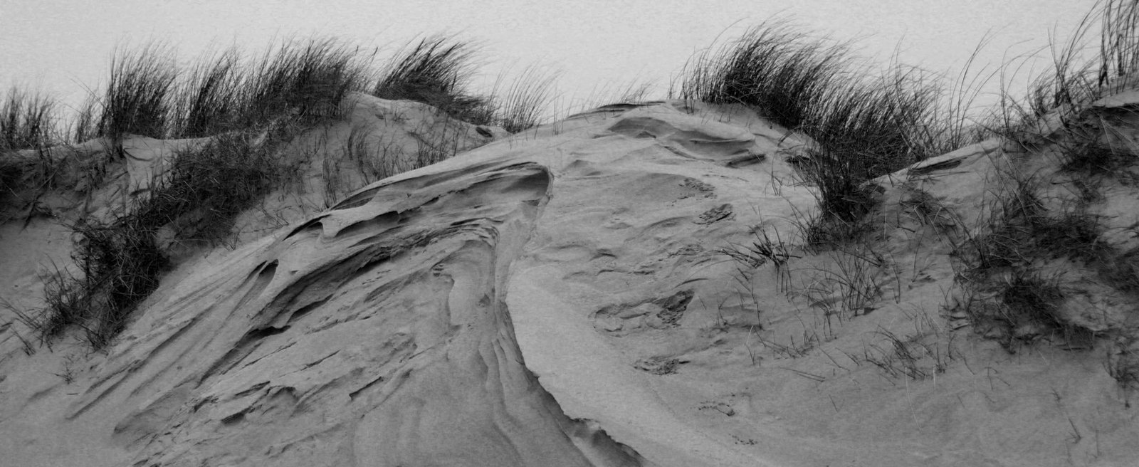 © Frank Jerke